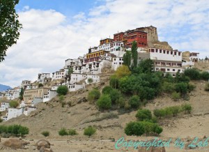 Ladakh-11