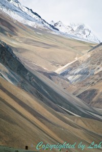 Ladakh-21