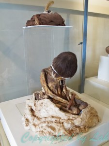 การนั่งของมัมมี่ในหลุมศพที่จัดแสดงอยู่ในพิพิธภัณฑ์