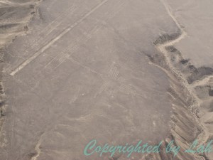 เส้นสายเป็นลวดลายนกฮัมมิ่งเบิร์ด นกที่คนโบราณเชื่อว่าเป็นผู้สื่อสารระหว่างโลกมนุษย์กับเทพเจ้า