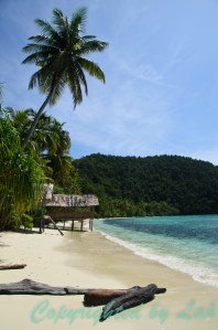 Lumba Lumba Homestay